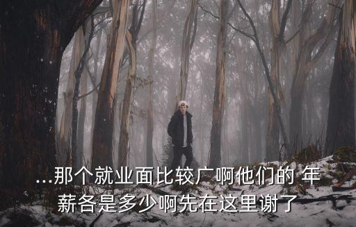 ...那個(gè)就業(yè)面比較廣啊他們的 年薪各是多少啊先在這里謝了