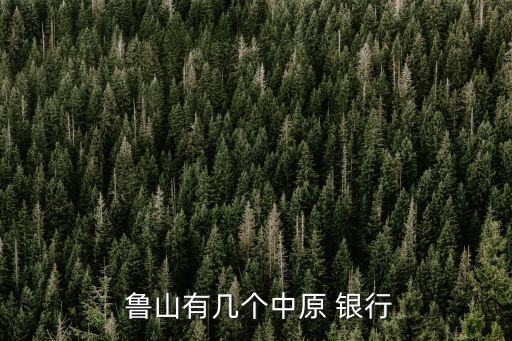  魯山有幾個中原 銀行