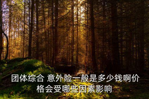  團體綜合 意外險一般是多少錢啊價格會受哪些因素影響