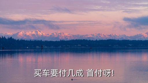 買(mǎi)車(chē)要付幾成 首付呀!