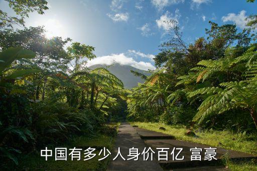 中國有多少人身價百億 富豪