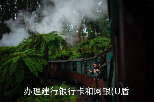 建設(shè)銀行 通用u盾多少錢(qián)