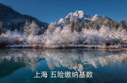 上海 五險繳納基數(shù)