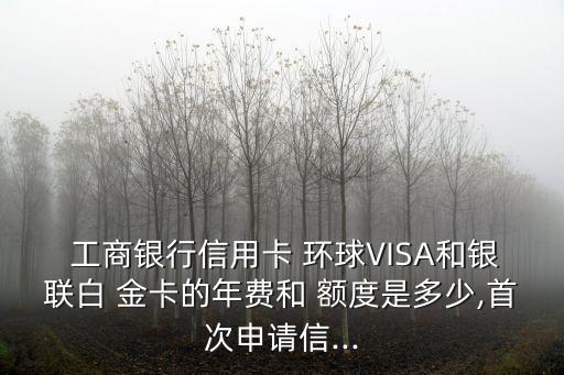  工商銀行信用卡 環(huán)球VISA和銀聯(lián)白 金卡的年費(fèi)和 額度是多少,首次申請信...