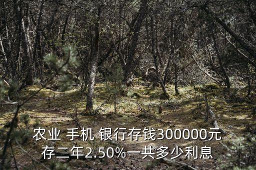 手機(jī)銀行存款多少年,銀行存款記錄一般保存多少年