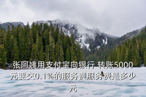張阿姨用支付寶向銀行 轉(zhuǎn)賬5000元要交0.1%的服務(wù)費(fèi)服務(wù)費(fèi)是多少元