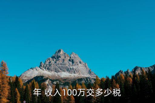 一年納稅百萬收入多少,個人納稅百萬收入多少
