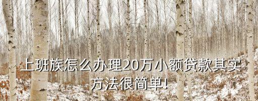  上班族怎么辦理20萬小額貸款其實方法很簡單!