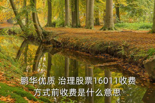 鵬華治理期間增值多少