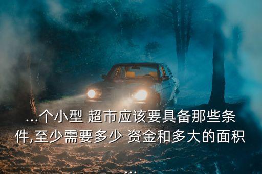 ...個小型 超市應該要具備那些條件,至少需要多少 資金和多大的面積...