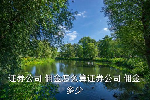 投資顧問傭金能有多少
