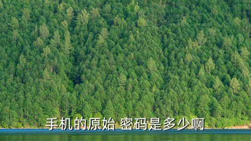 手機(jī)的原始 密碼是多少啊