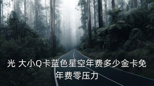 光 大小Q卡藍(lán)色星空年費多少金卡免年費零壓力