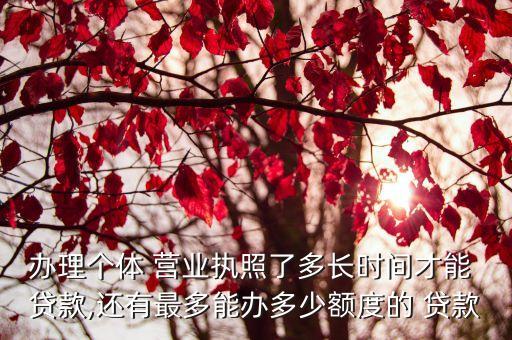 營業(yè)執(zhí)照半年的貸款多少錢啊