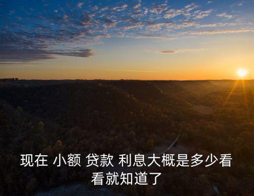 現(xiàn)在 小額 貸款 利息大概是多少看看就知道了