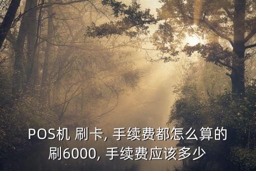 外地pos機(jī)刷卡手續(xù)費(fèi)是多少,pos機(jī)刷卡手續(xù)費(fèi)0.025