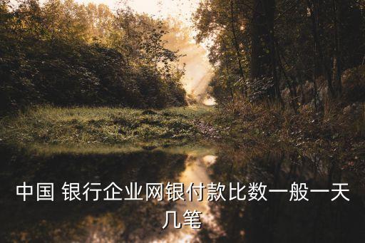 中國 銀行企業(yè)網(wǎng)銀付款比數(shù)一般一天幾筆