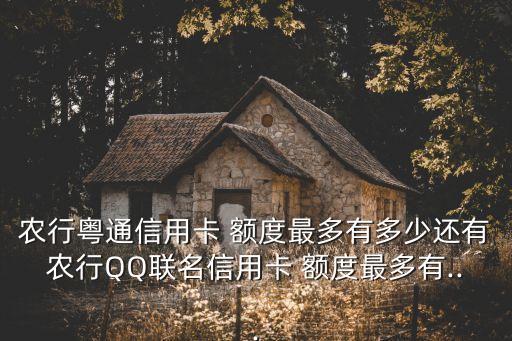 農(nóng)行粵通信用卡 額度最多有多少還有農(nóng)行QQ聯(lián)名信用卡 額度最多有...