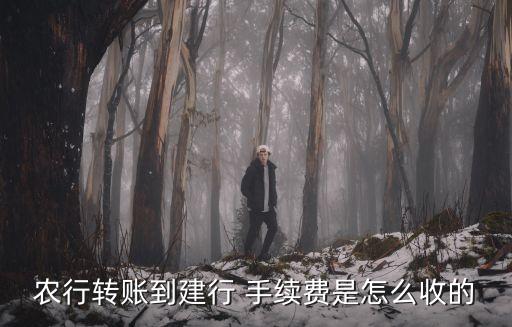 建設(shè)轉(zhuǎn)農(nóng)業(yè)手續(xù)費(fèi)多少錢,建設(shè)卡轉(zhuǎn)農(nóng)業(yè)卡要手續(xù)費(fèi)嗎