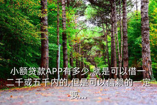 小額貸款A(yù)PP有多少,就是可以借一二千或五千內(nèi)的,但是可以信賴的一定要...