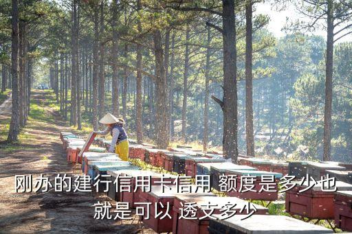 透支卡額度是多少錢,怎樣查透支卡剩余額度