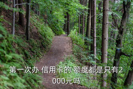 第一次辦 信用卡的 額度都是只有2000元嗎