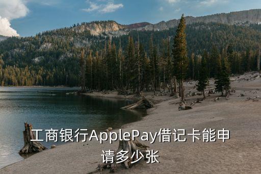 apple pay可以綁定多少張卡