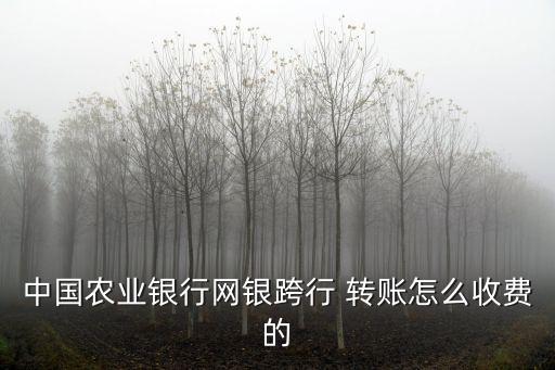 中國農(nóng)業(yè)銀行網(wǎng)銀跨行 轉(zhuǎn)賬怎么收費的