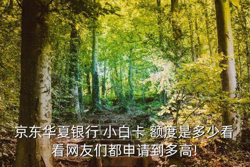 小白卡信用卡白金卡額度多少,浦發(fā)信用卡升級(jí)白金卡額度提高嗎