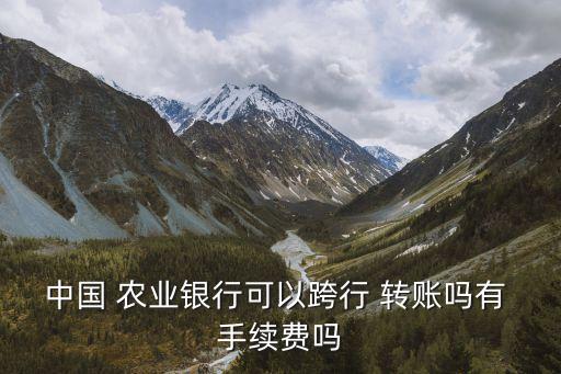 中國 農(nóng)業(yè)銀行可以跨行 轉(zhuǎn)賬嗎有 手續(xù)費嗎