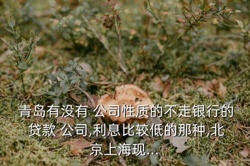  青島有沒有 公司性質的不走銀行的 貸款 公司,利息比較低的那種,北京上?，F(xiàn)...