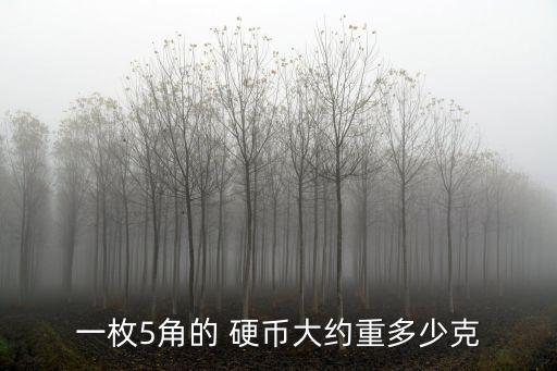 一枚5角的 硬幣大約重多少克