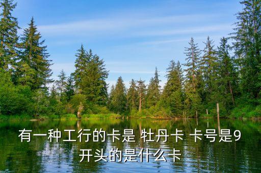 有一種工行的卡是 牡丹卡 卡號(hào)是9開頭的是什么卡