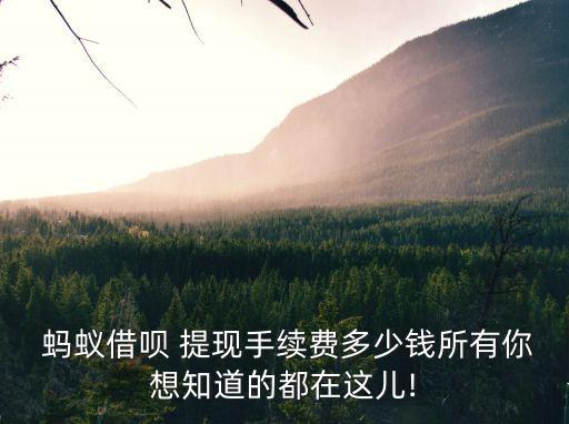 螞蟻 提現(xiàn)額度是多少,螞蟻積分怎么兌換提現(xiàn)額度