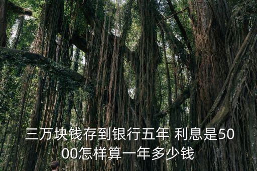  三萬塊錢存到銀行五年 利息是5000怎樣算一年多少錢