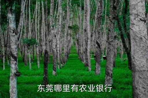  東莞哪里有農(nóng)業(yè)銀行