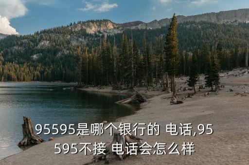 95595是哪個銀行的 電話,95595不接 電話會怎么樣