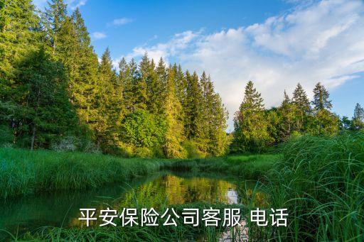  平安保險公司客服 電話