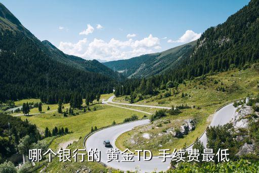 工行黃金td手續(xù)費(fèi)多少錢,工行買黃金手續(xù)費(fèi)怎么算的