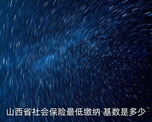 山西省社會保險最低繳納 基數(shù)是多少