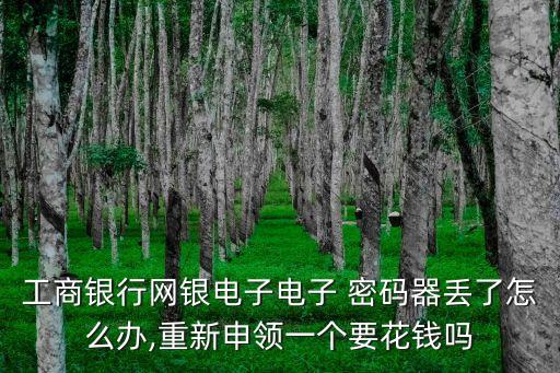 多少錢需要工行密碼器,工行U盾原始密碼多少
