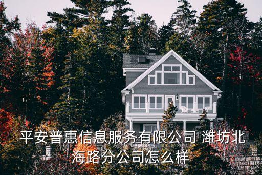  平安普惠信息服務(wù)有限公司 濰坊北海路分公司怎么樣