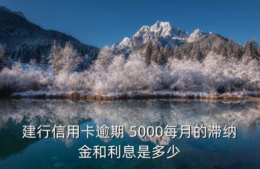 建行信用卡逾期 5000每月的滯納金和利息是多少