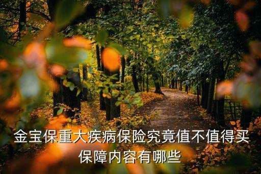 中信借金寶多少額度,中信銀行卡額度一般多少