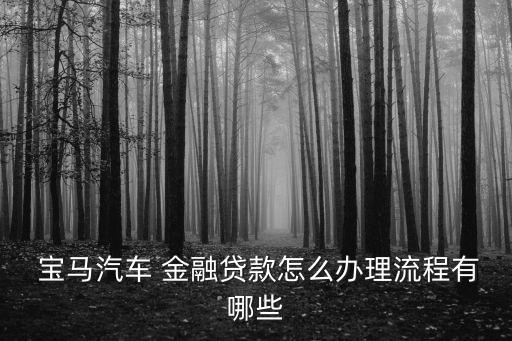  寶馬汽車 金融貸款怎么辦理流程有哪些