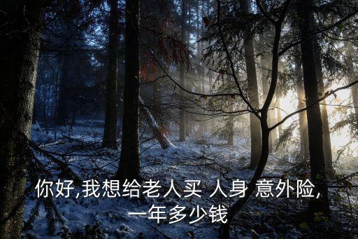 你好,我想給老人買(mǎi) 人身 意外險(xiǎn),一年多少錢(qián)