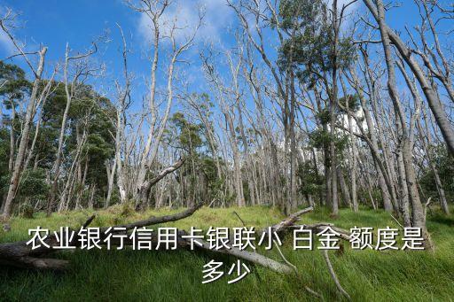 農(nóng)業(yè)銀行信用卡銀聯(lián)小 白金 額度是多少