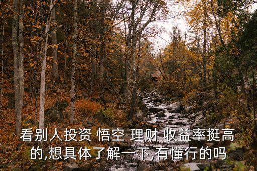 看別人投資 悟空 理財 收益率挺高的,想具體了解一下,有懂行的嗎