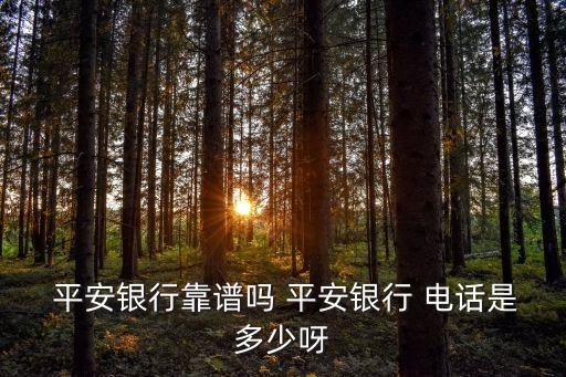 平安愛貸客服電話多少,平安普惠宅e貸客服電話