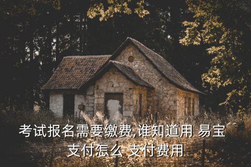 考試報(bào)名需要繳費(fèi),誰(shuí)知道用 易寶 支付怎么 支付費(fèi)用